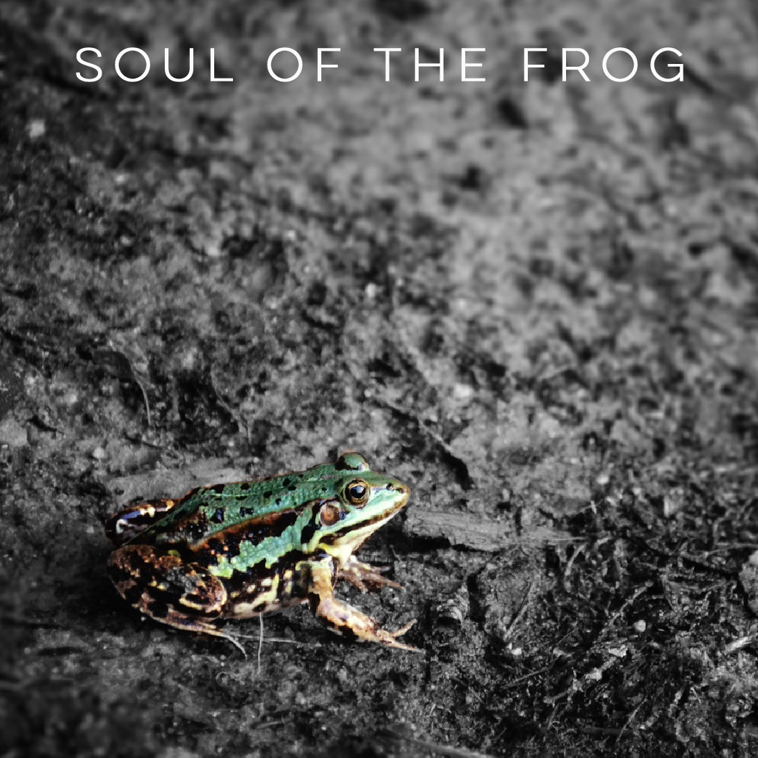 cover of new album